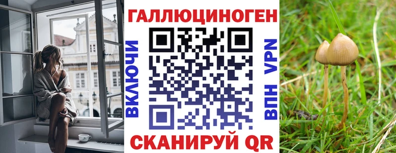 купить закладку Полярные Зори OMG онион Галлюциногенные грибы мицелий