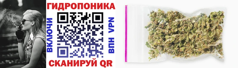 площадка какой сайт  блэк спрут tor  Полярные Зори  Конопля ГИДРОПОН 